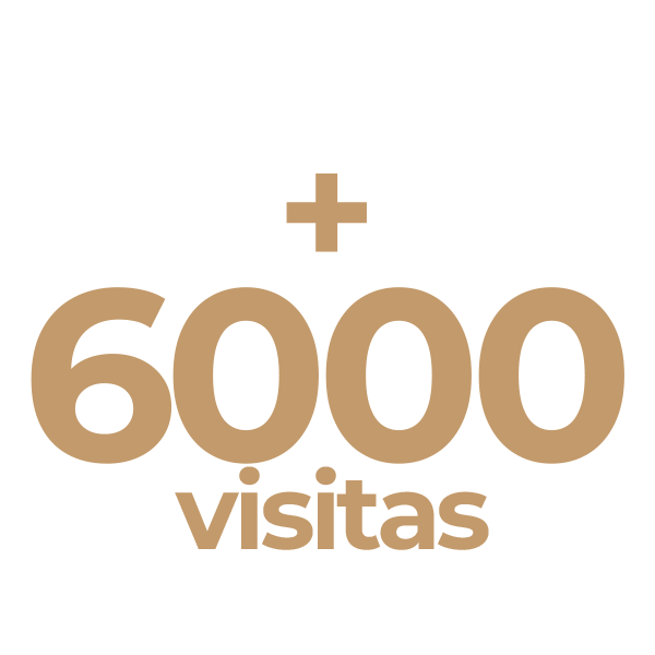 600 visitas realizadas